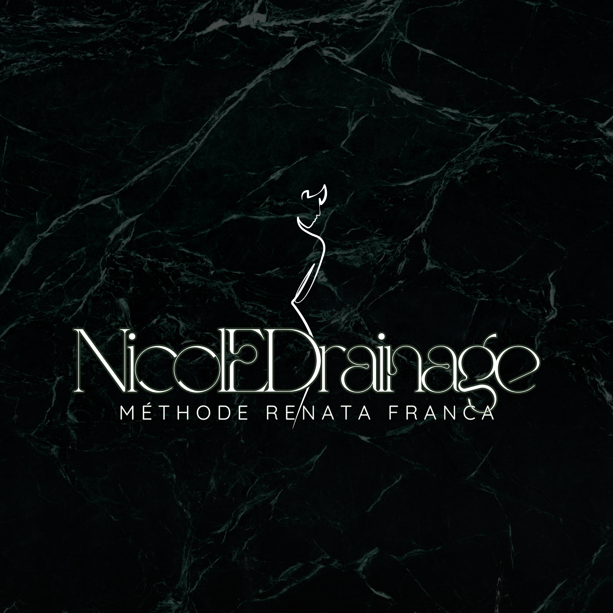 logo NicoleDrainage